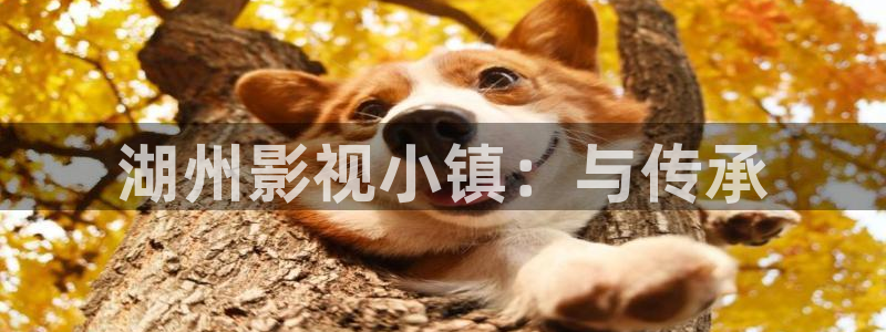 神马福利午夜片