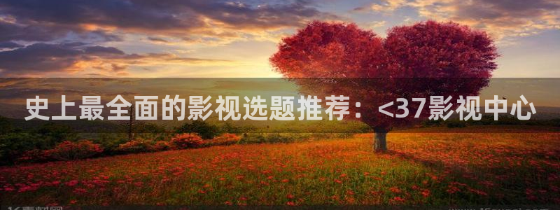 老司机神马影院