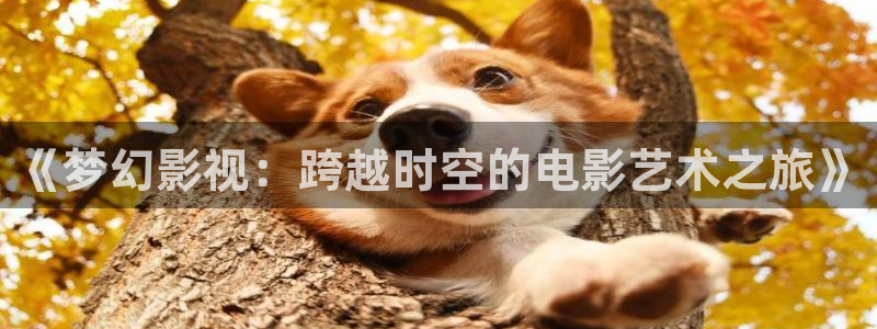 神马影院第九在线